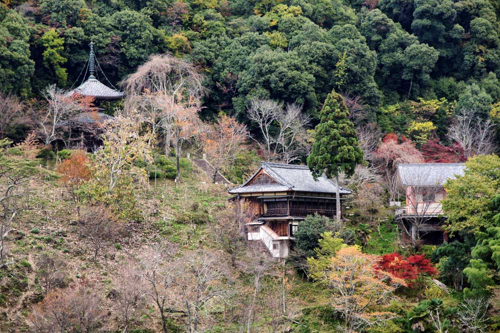 Nyoirinji  a Yoshino, Nara cosa vedere in Giappone