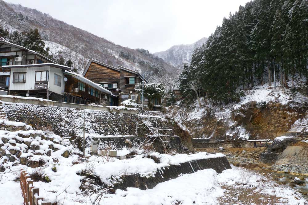 Jigokudani scimmie cosa vedere Giappone