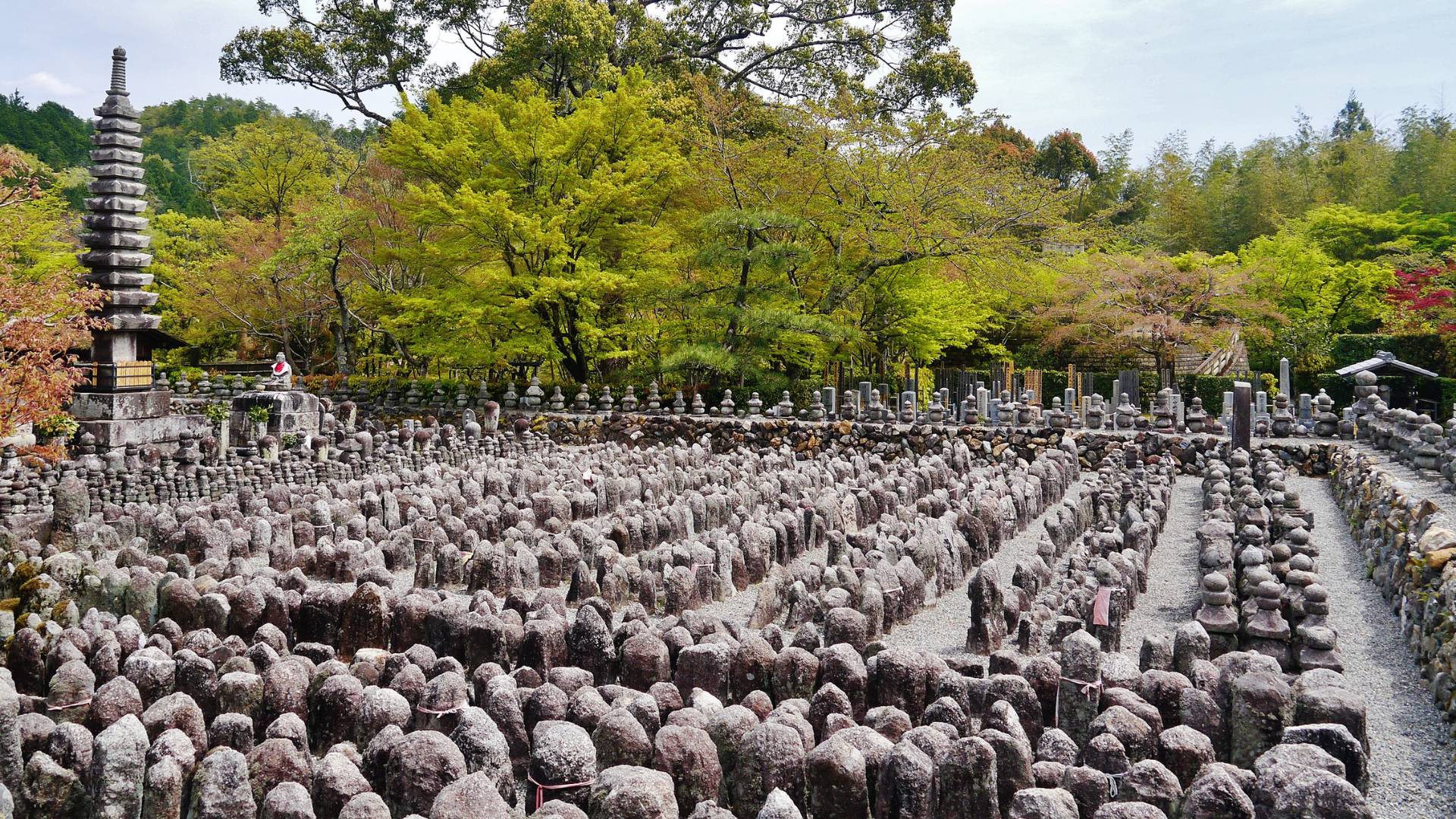 Arashiyama Adashino Nenbutsuji cosa vedere Giappone