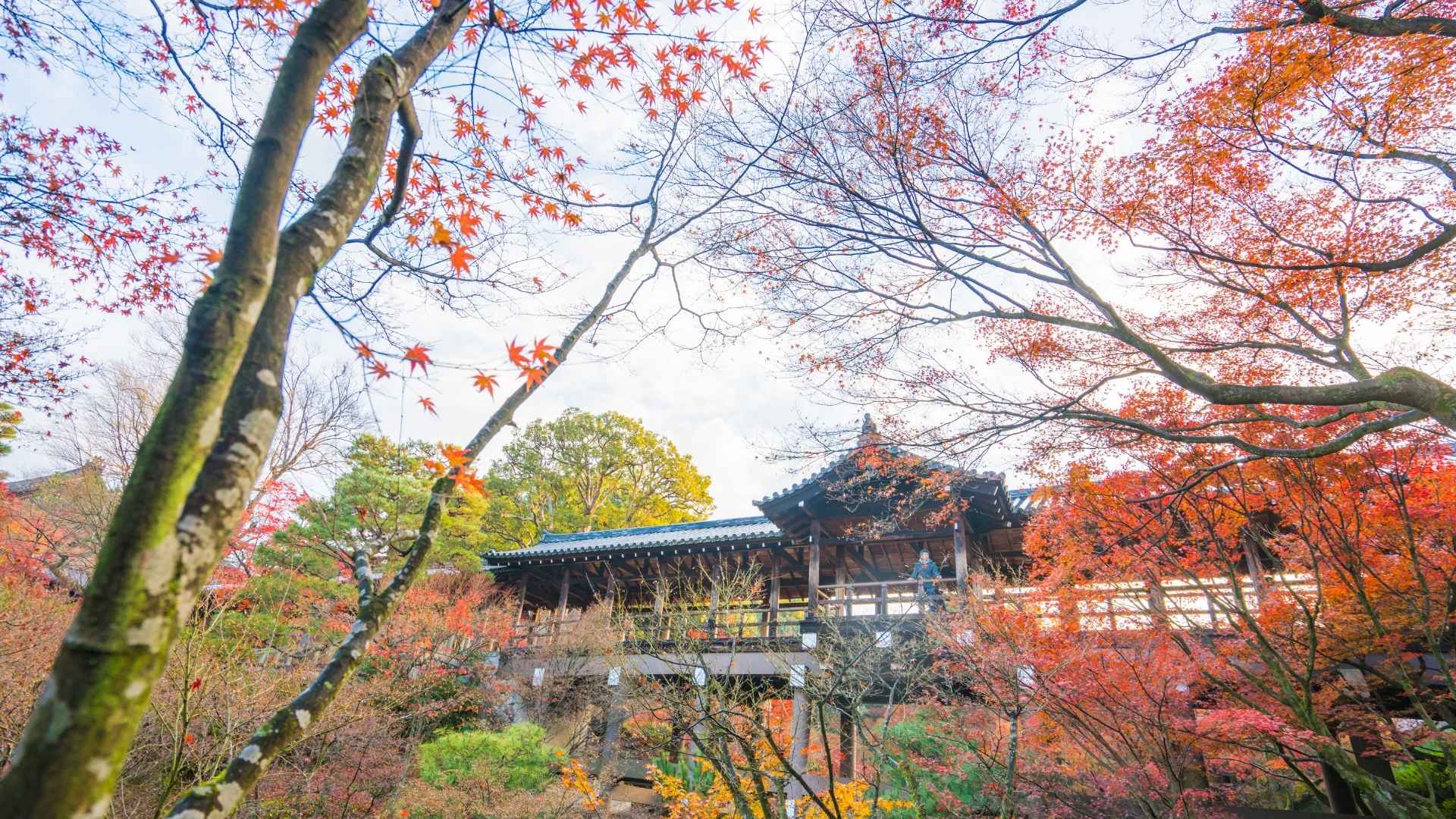 Tofukuji a Kyoto cosa vedere in Giappone