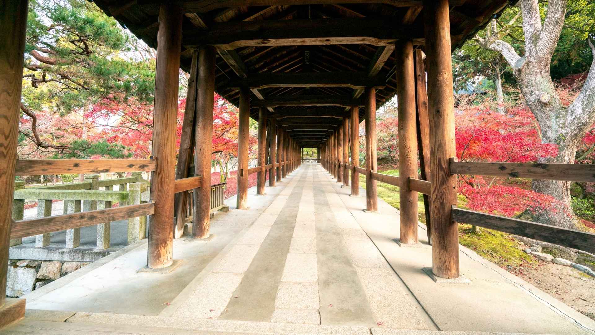Tofukuji a Kyoto cosa vedere in Giappone