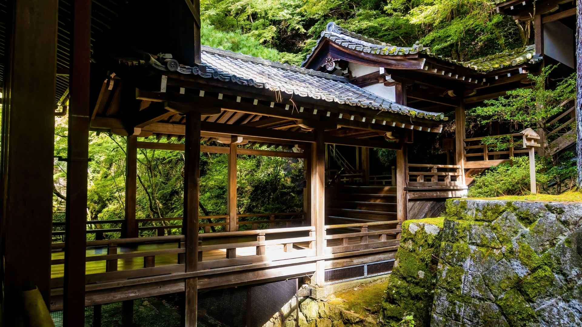 Eikando Kyoto cosa vedere Giappone