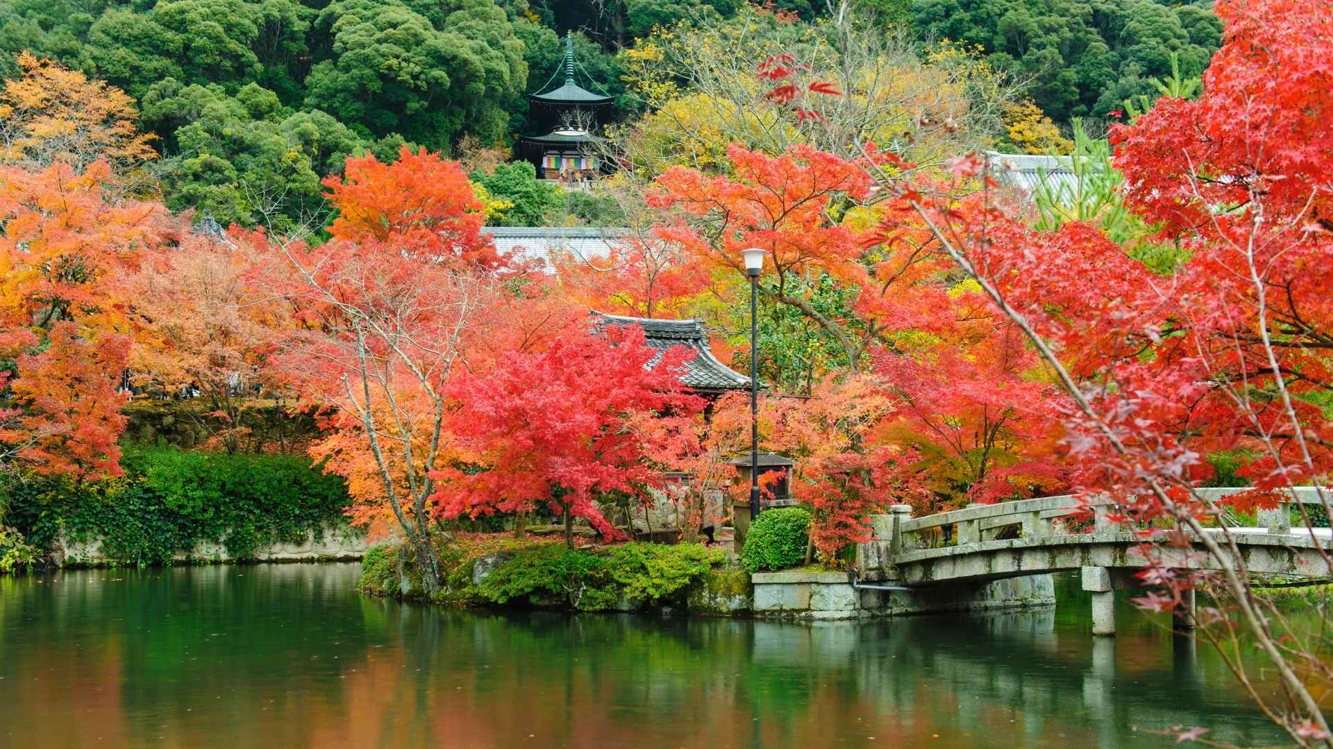 Eikando Kyoto cosa vedere Giappone