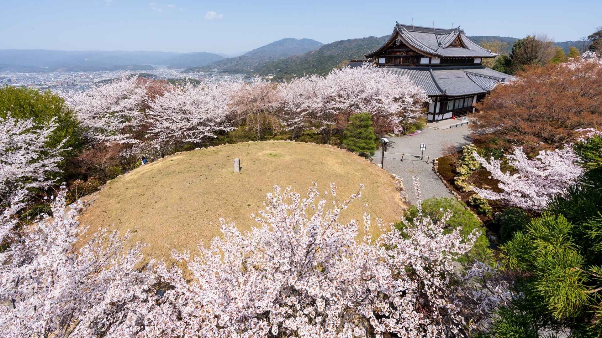 Shorenin Kyoto cosa vedere Giappone
