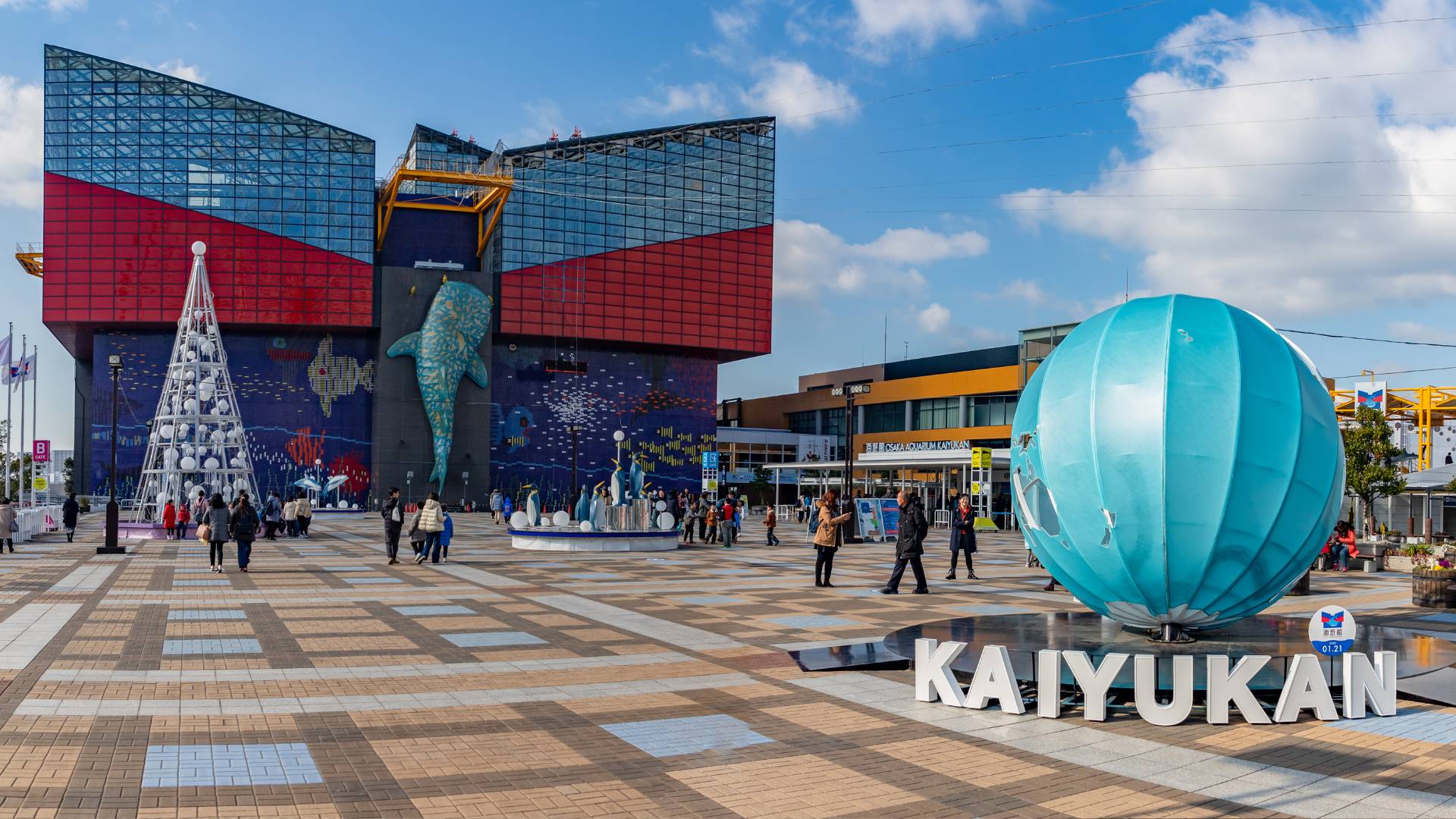 Acquario di Osaka cosa vedere Giappone