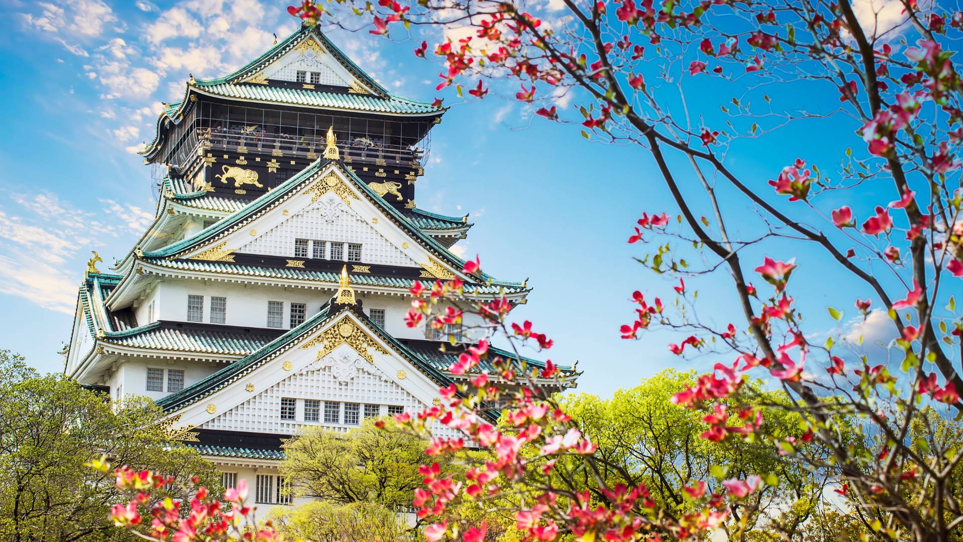 Castello di Osaka cosa vedere Giappone