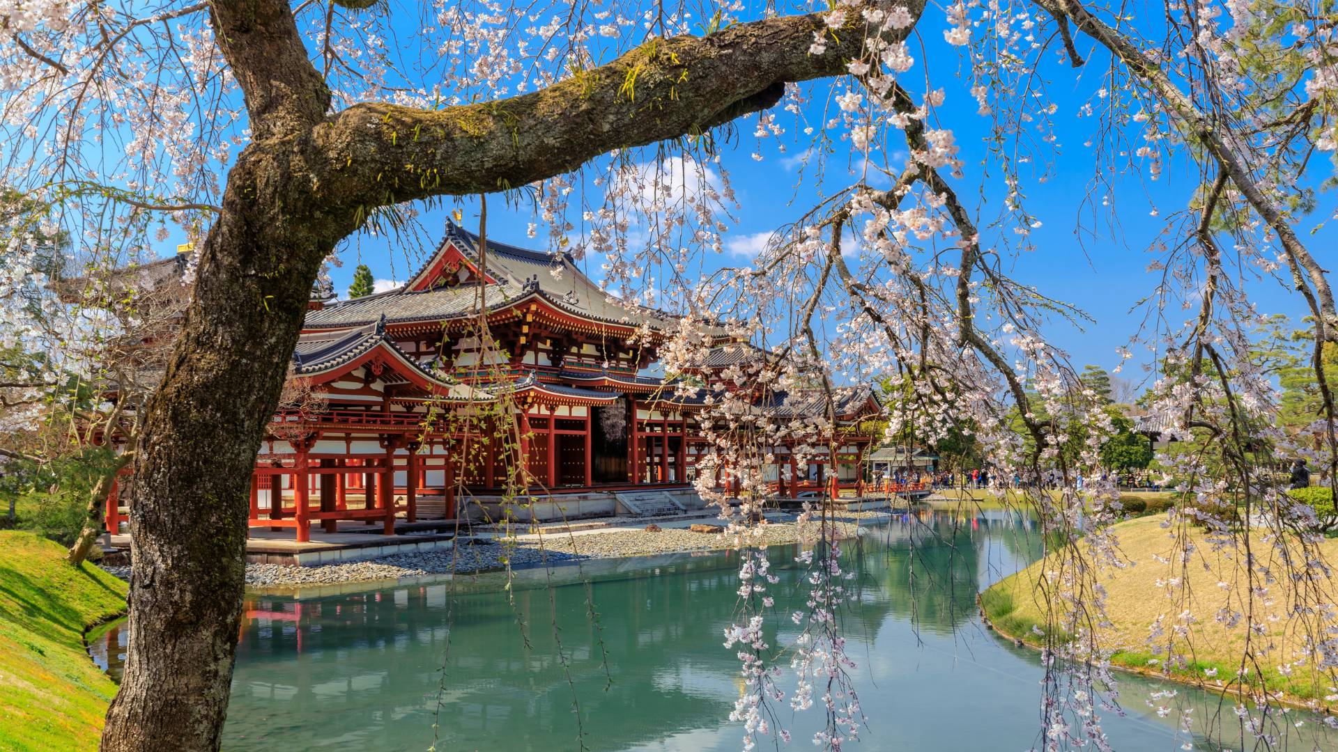 Byodo-in aUji cosa vedere in Giappone