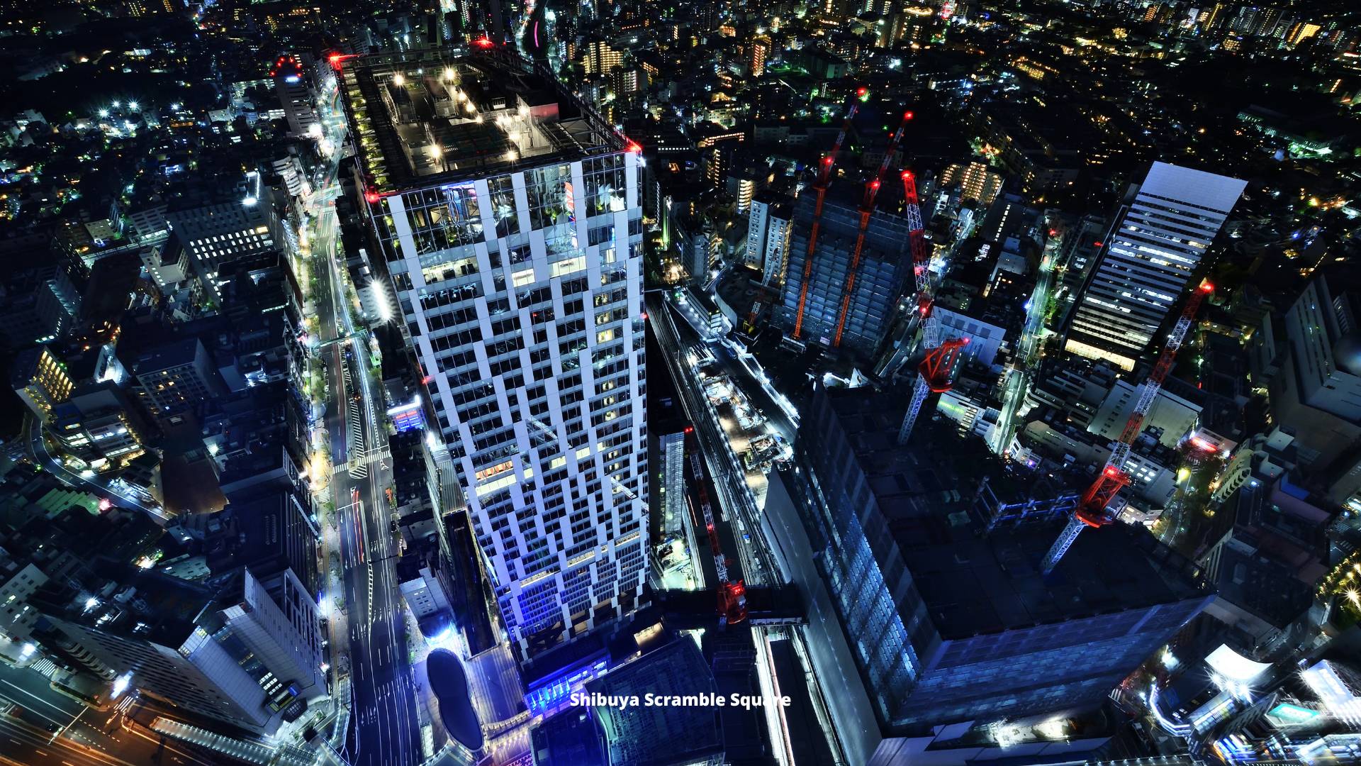 Shibuya Scramble Square cosa vedere tokyo