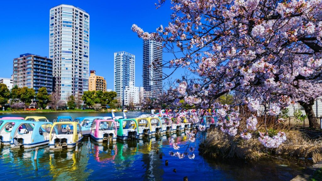 Ueno cosa vedere Tokyo