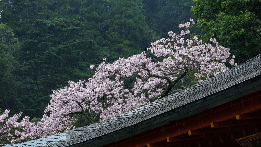 Monte Kurama Kyoto cosa vedere Giappone