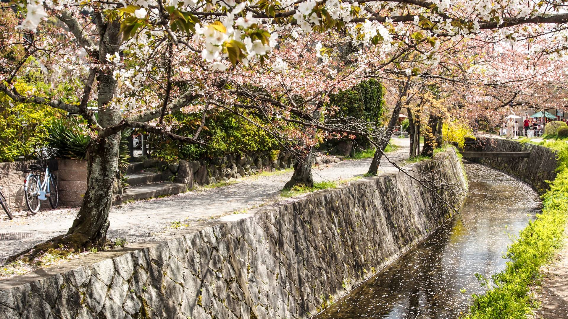 Sentiero del Filosofo Kyoto: itinerario, templi e consigli