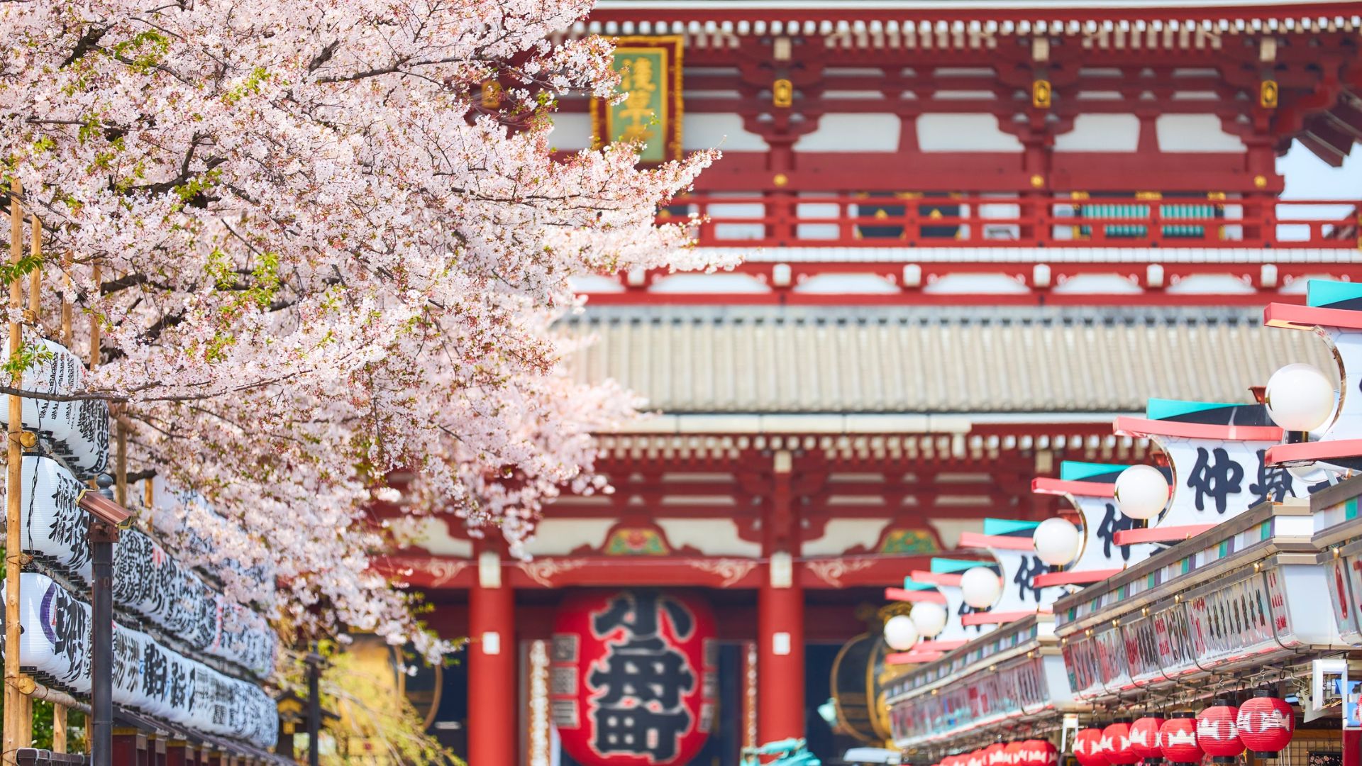 Tour Giappone: la Via dei Samurai – Hanami Aprile 2026