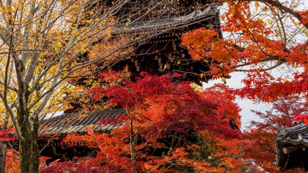 Shinnyodo Kyoto cosa vedere Giappone